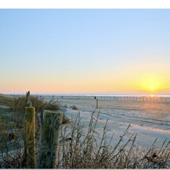 Meet your Posher Melody @pookeysmom - Picture 5 of 11